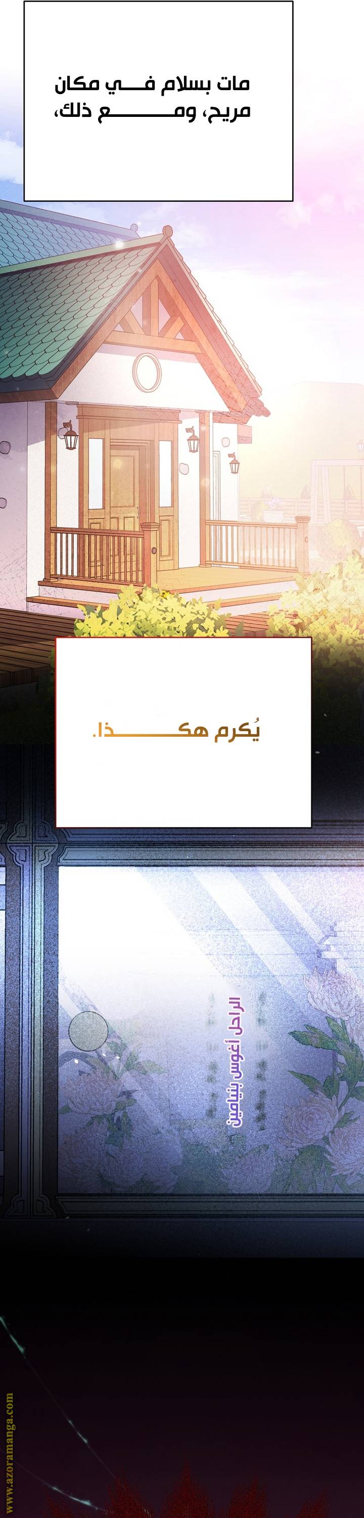 الصفحة 17