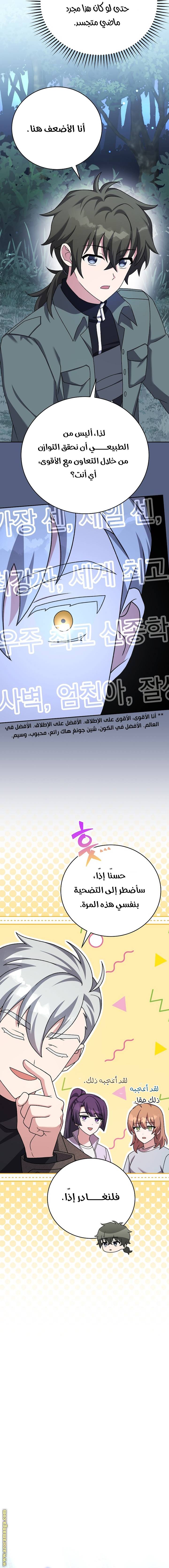 الصفحة 17