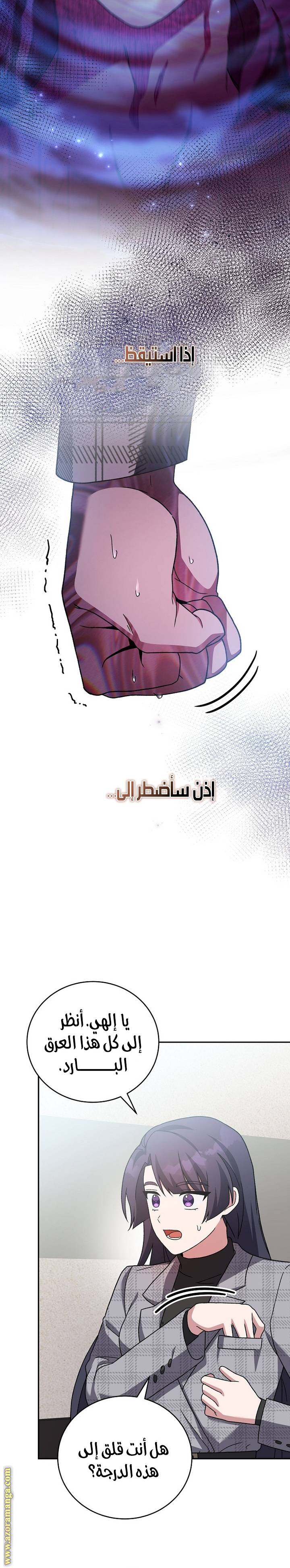 الصفحة 13