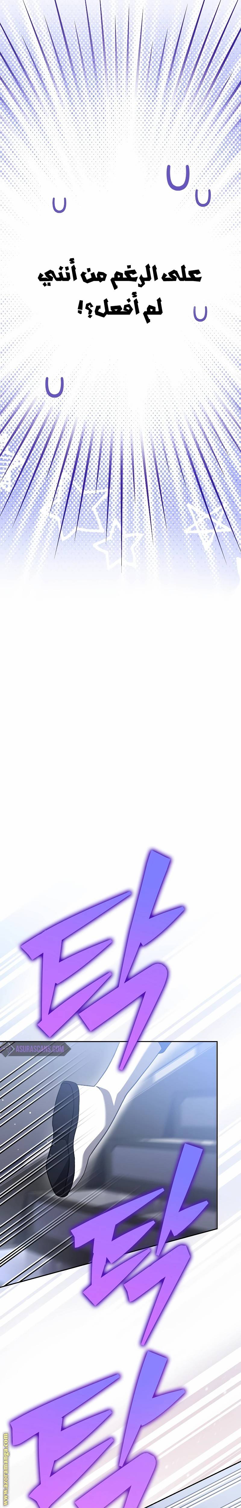 الصفحة 25