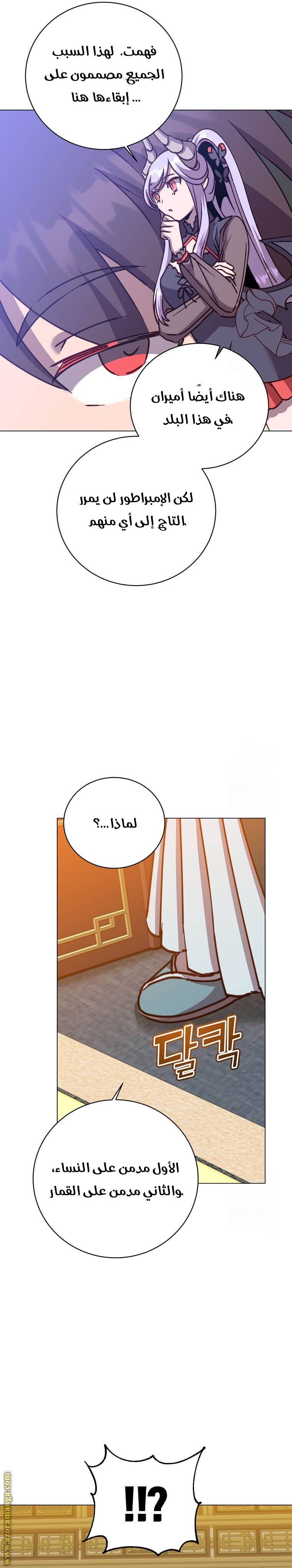 الصفحة 17