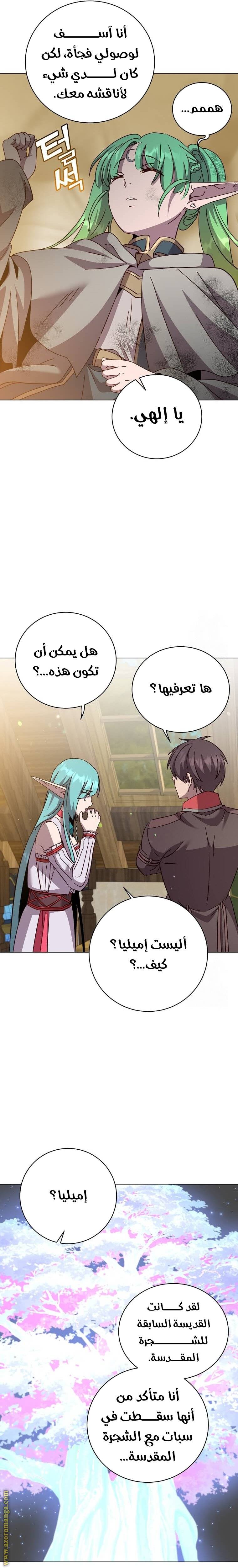 الصفحة 17