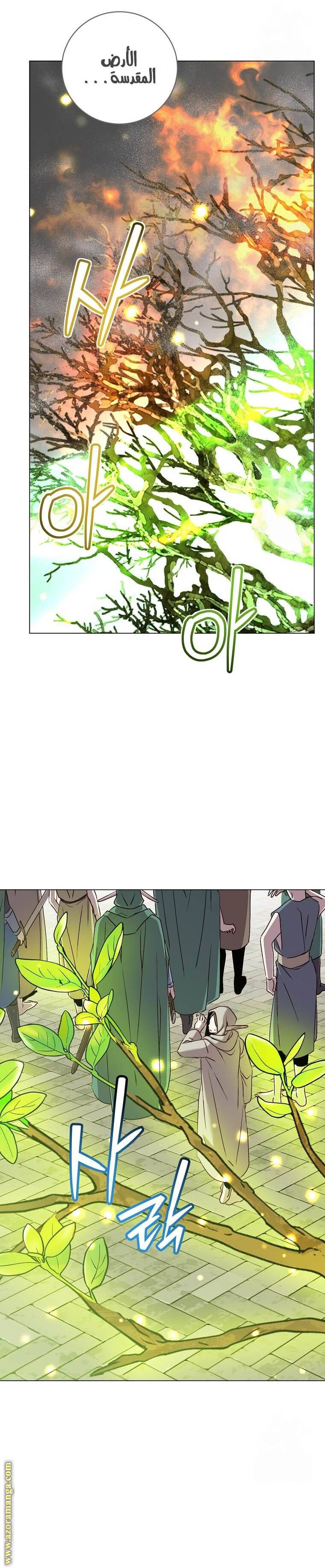 الصفحة 25