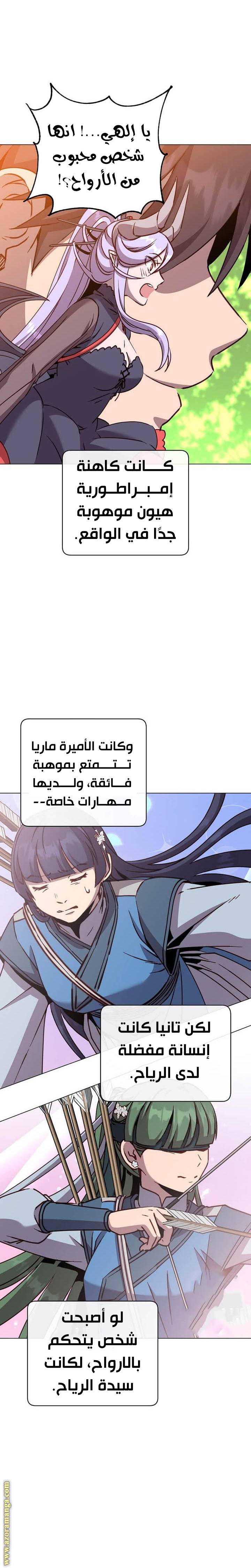 الصفحة 17