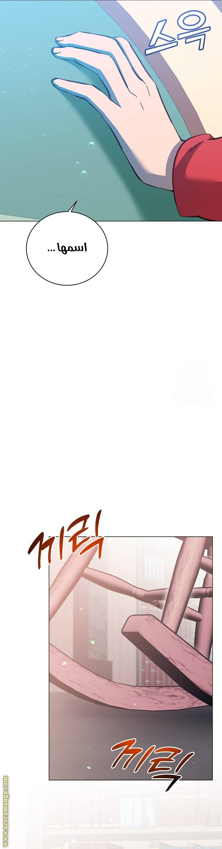 الصفحة 17