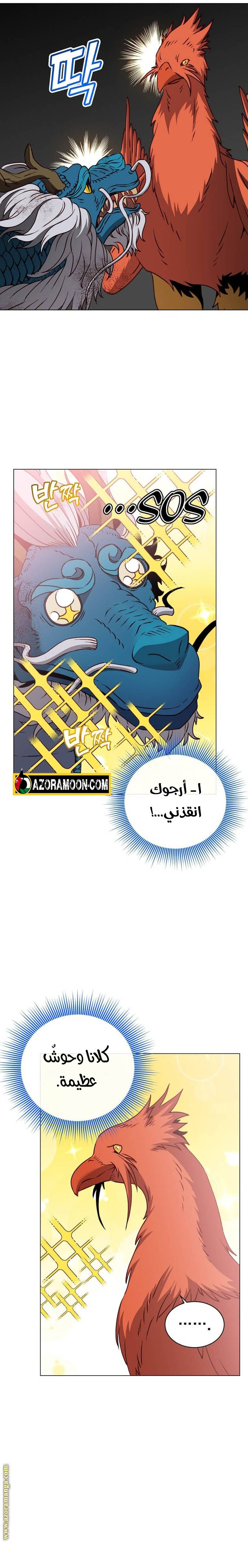 الصفحة 17