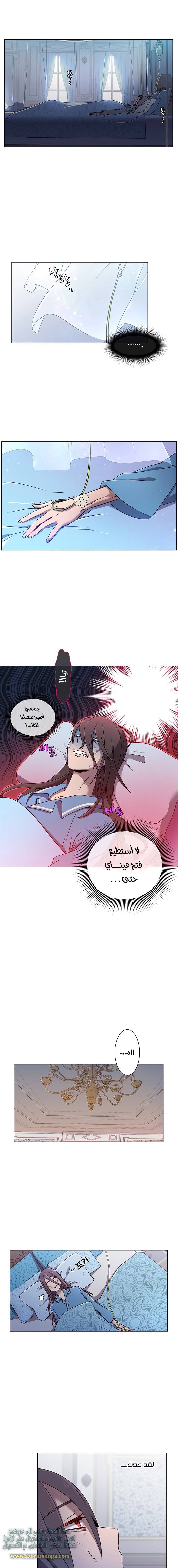الصفحة 6