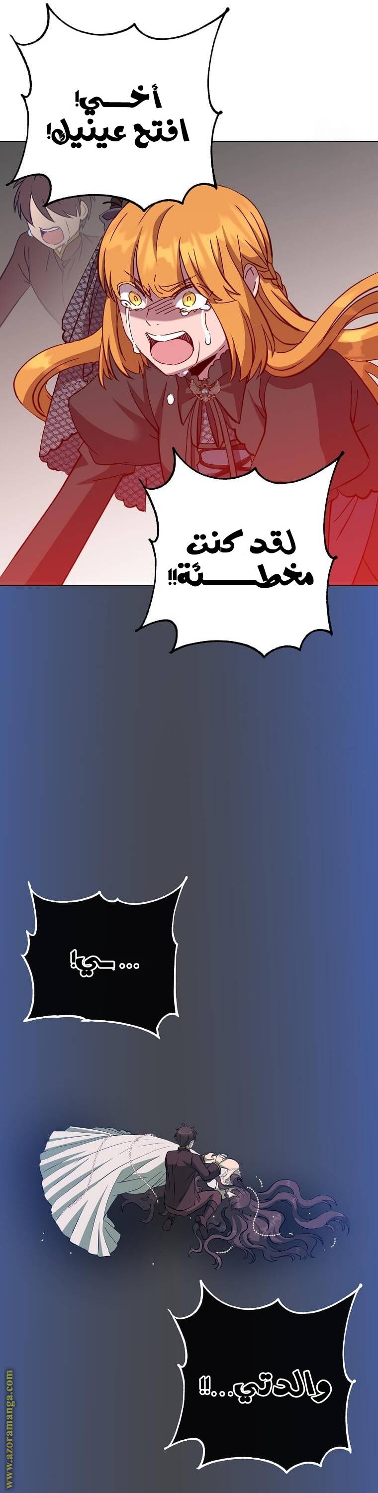 الصفحة 27