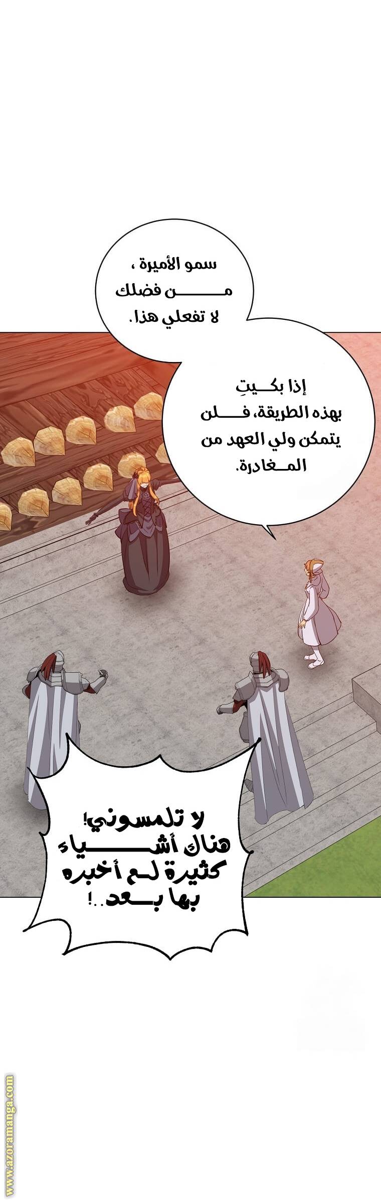 الصفحة 29