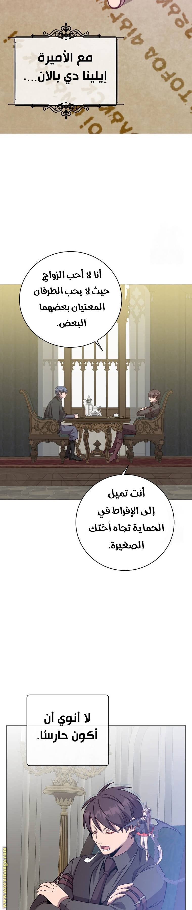 الصفحة 29