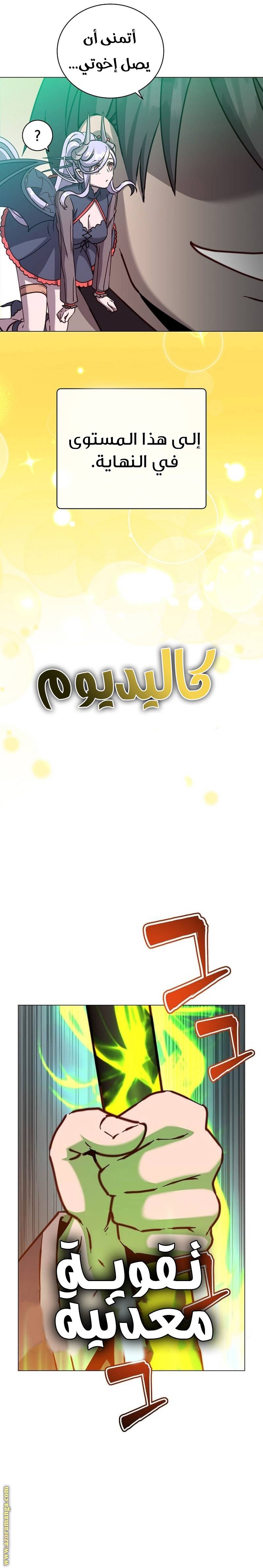 الصفحة 17