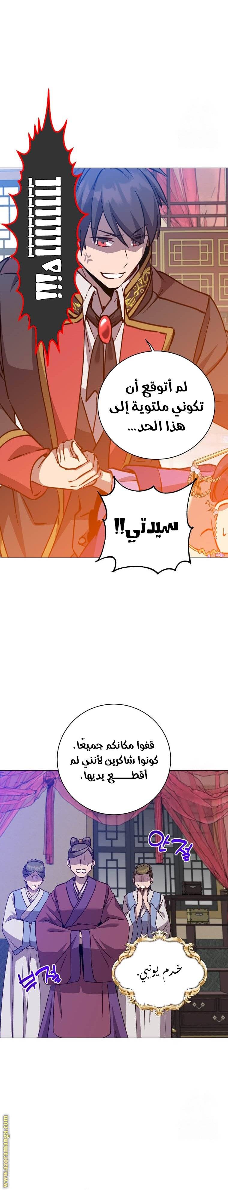 الصفحة 17