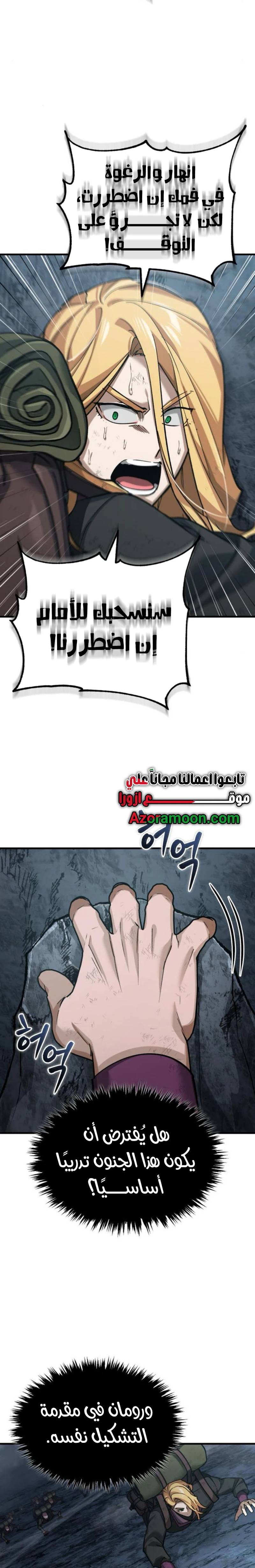 الصفحة 17