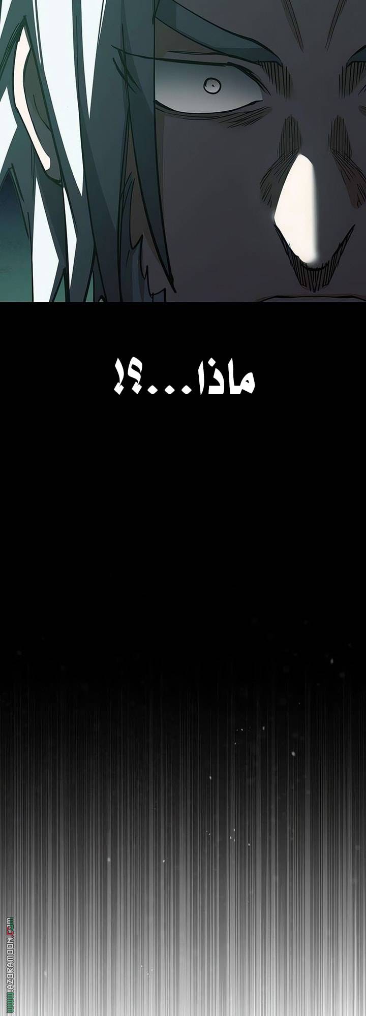 الصفحة 29