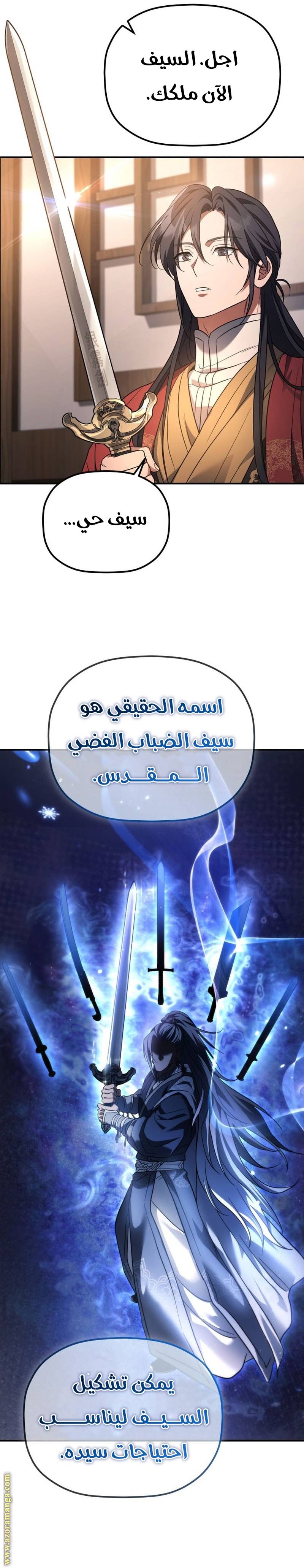 الصفحة 13