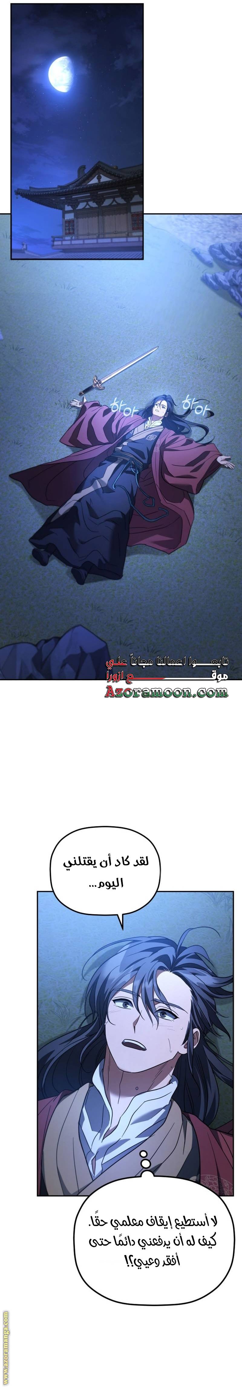 الصفحة 17