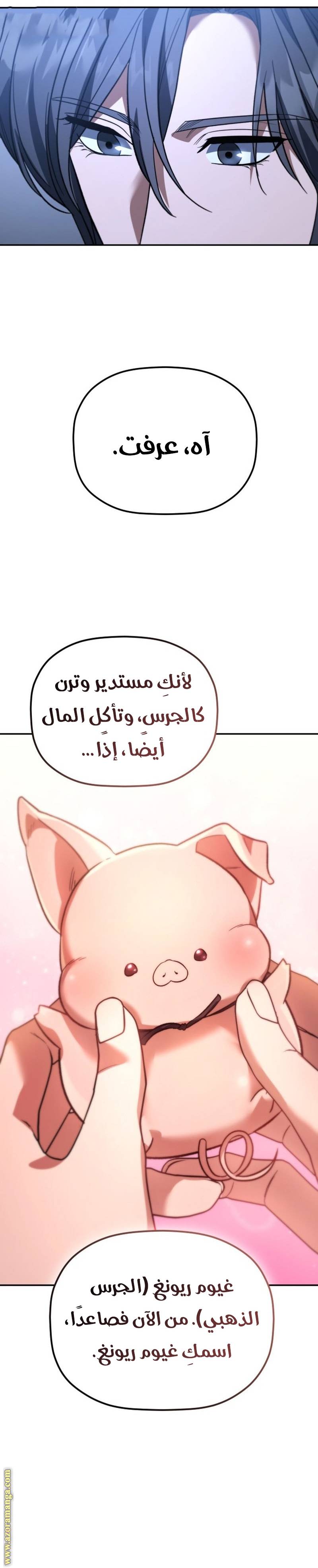 الصفحة 19