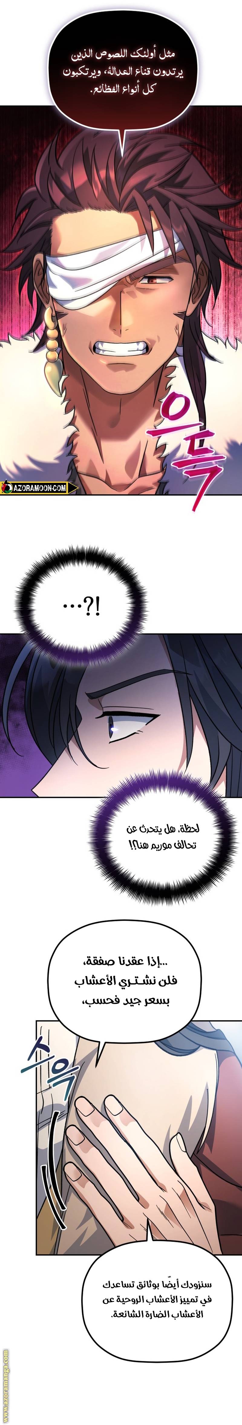 الصفحة 13