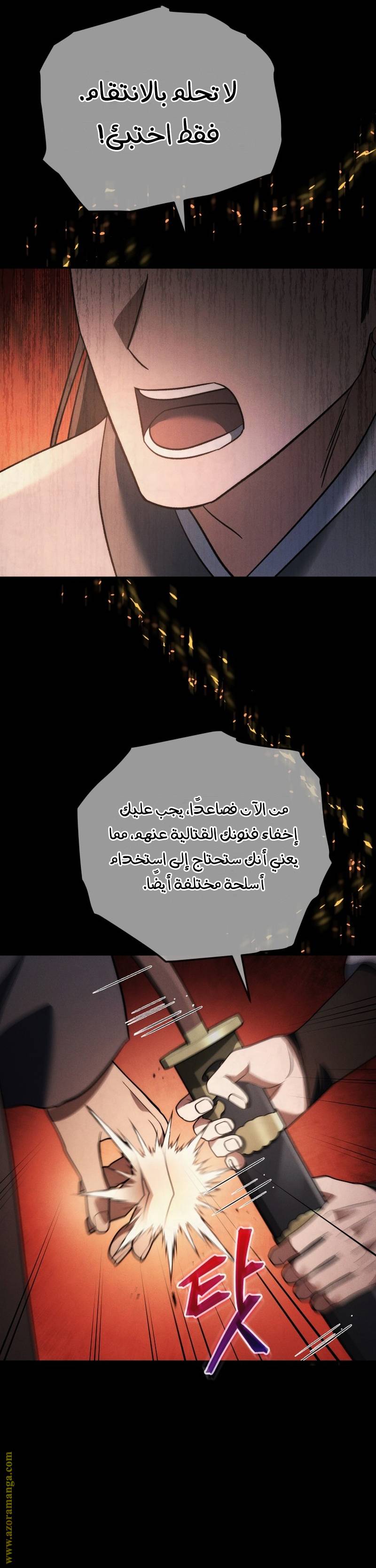 الصفحة 29