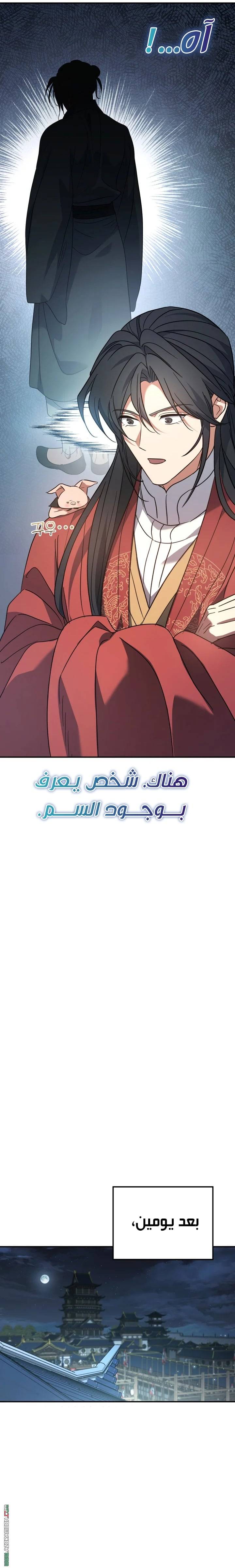 الصفحة 23