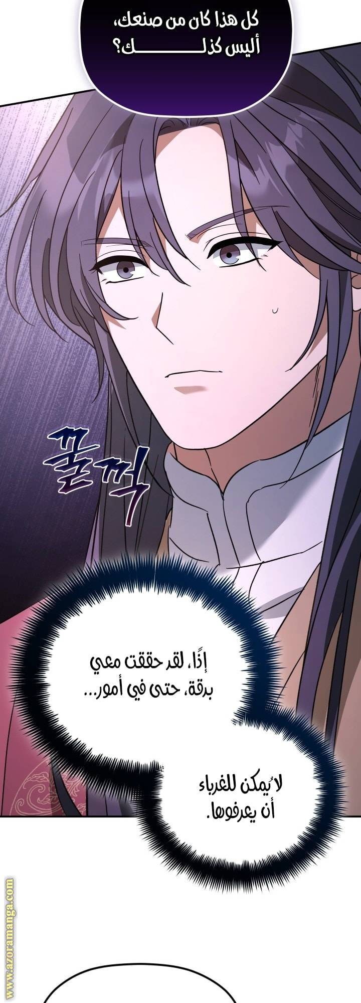 الصفحة 25
