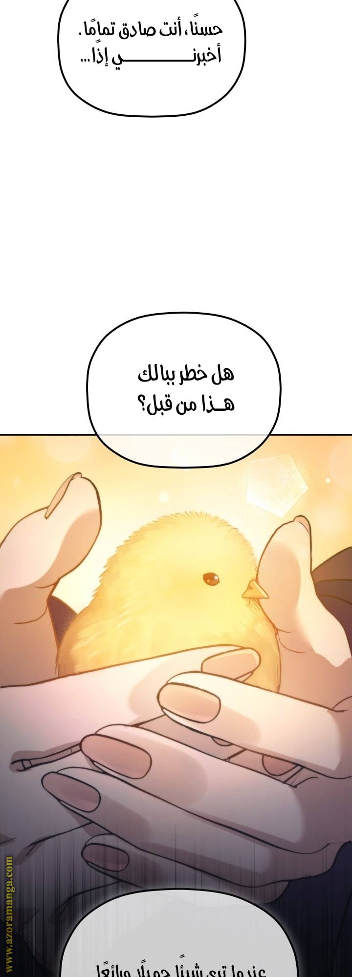 الصفحة 27