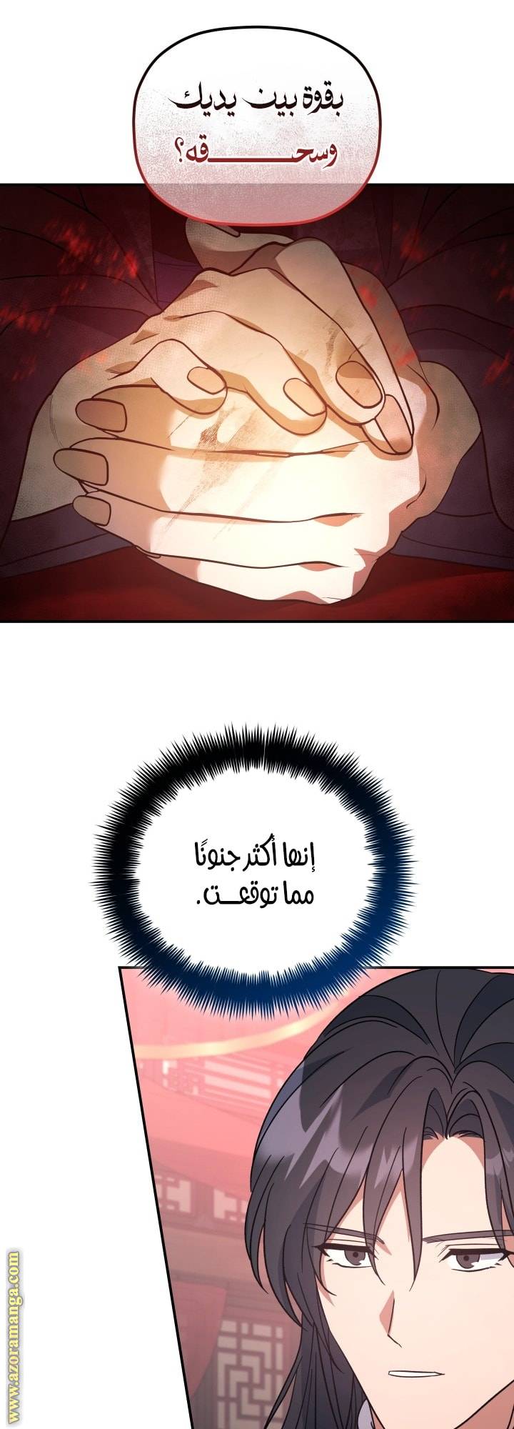 الصفحة 29