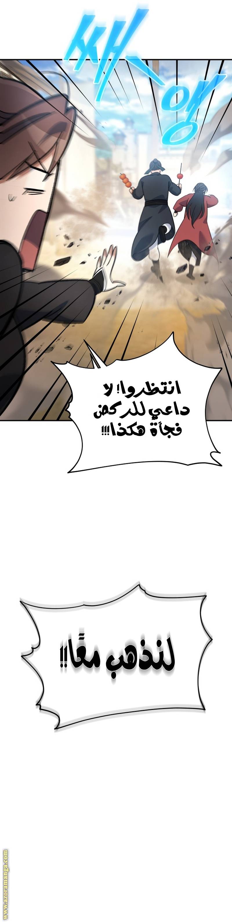 الصفحة 17