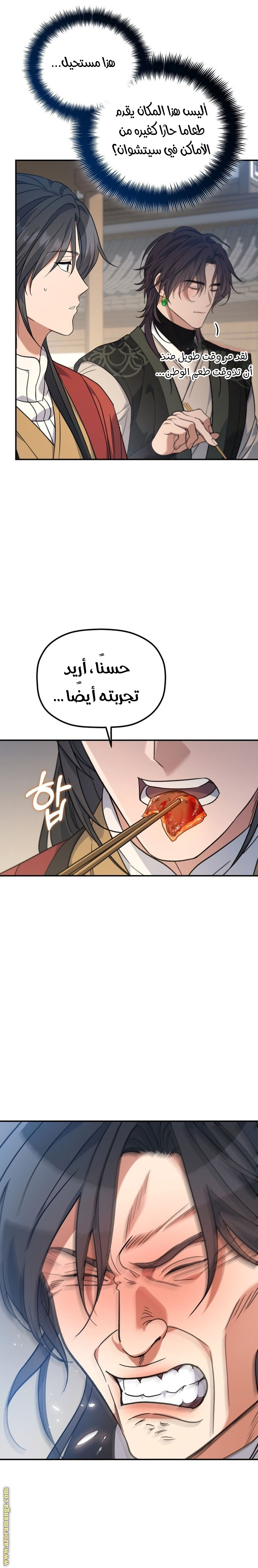 الصفحة 29