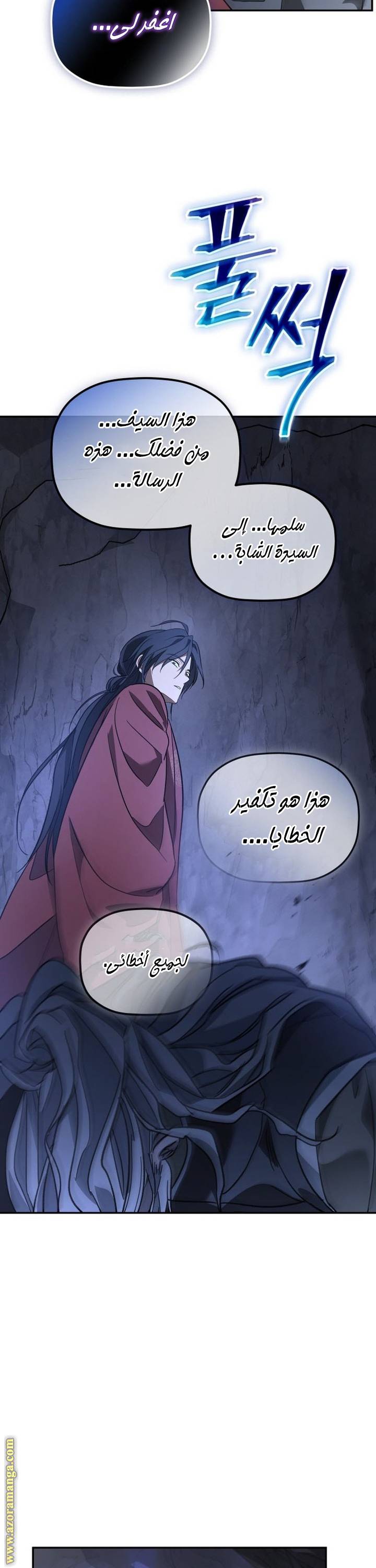 الصفحة 17