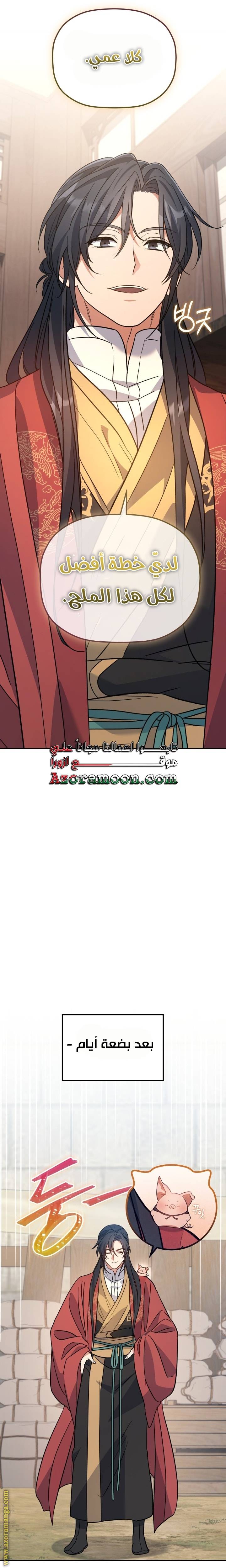 الصفحة 17