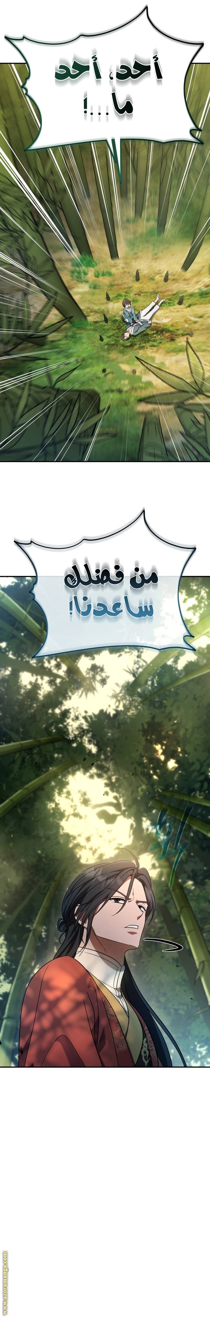 الصفحة 17