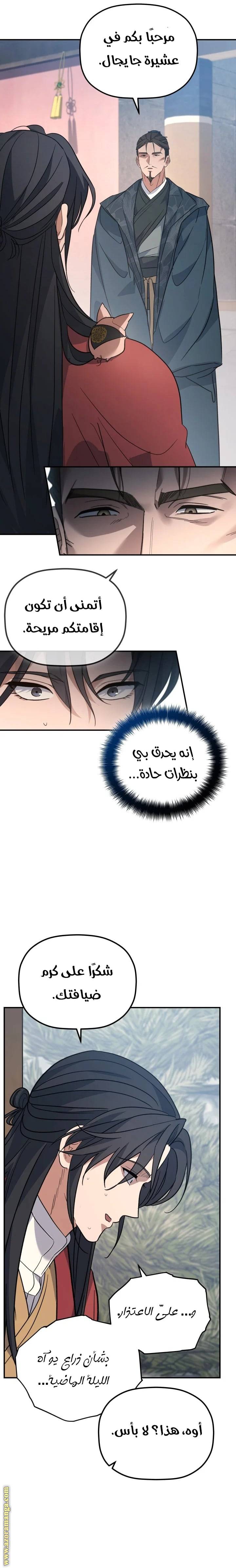 الصفحة 17