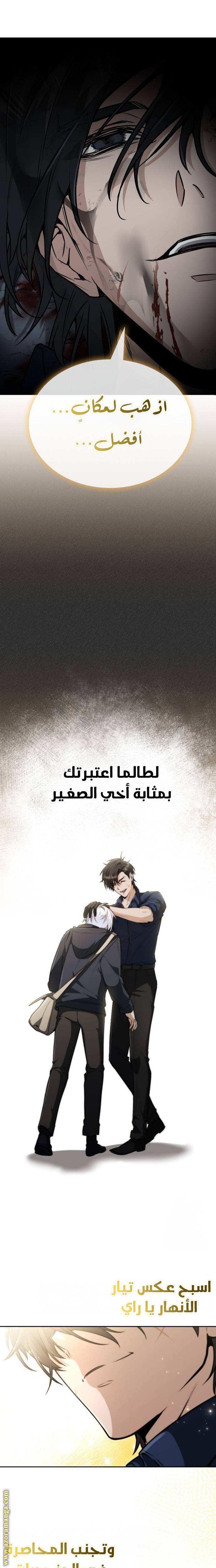 الصفحة 13