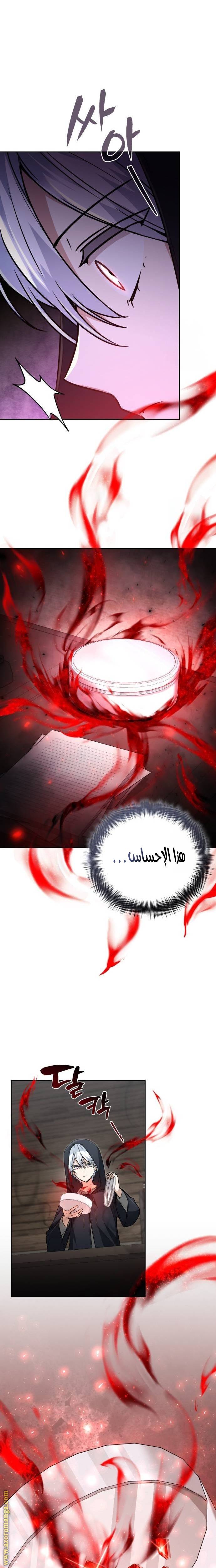 الصفحة 19