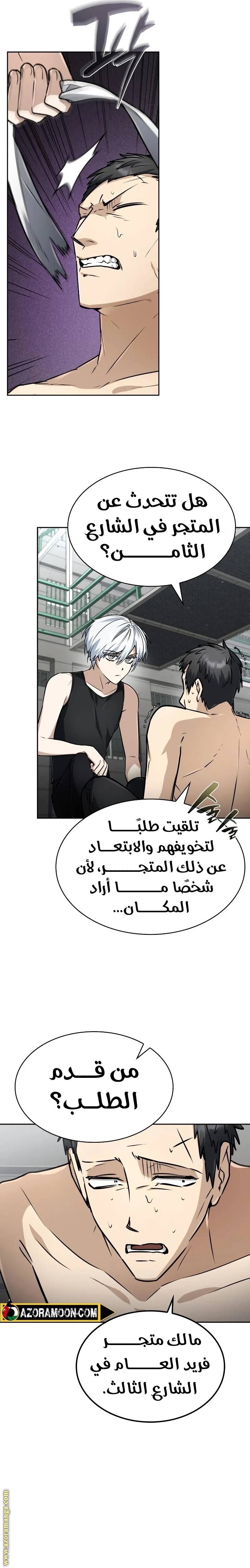 الصفحة 13