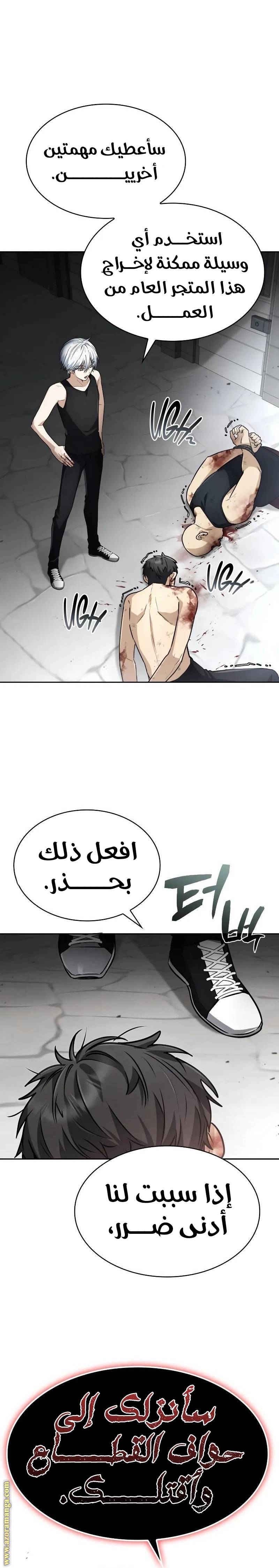الصفحة 17