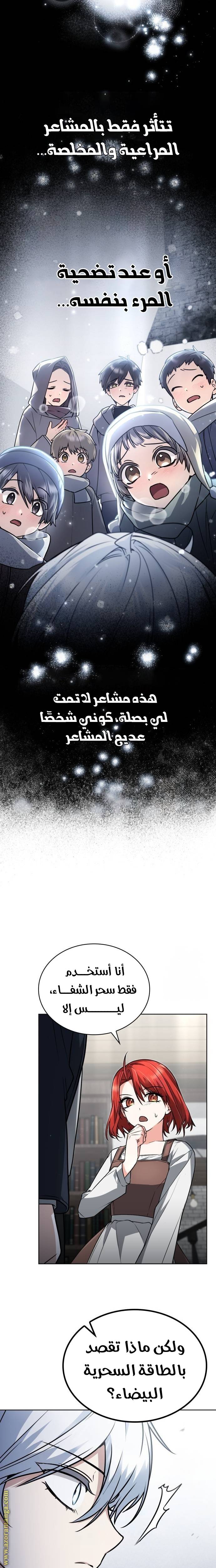 الصفحة 17
