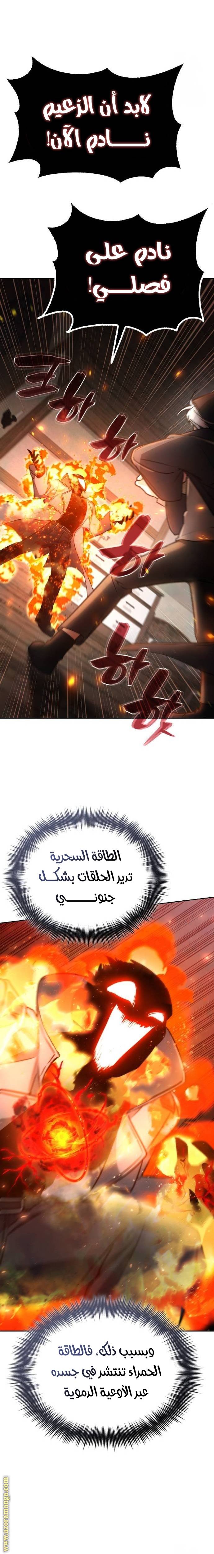 الصفحة 17