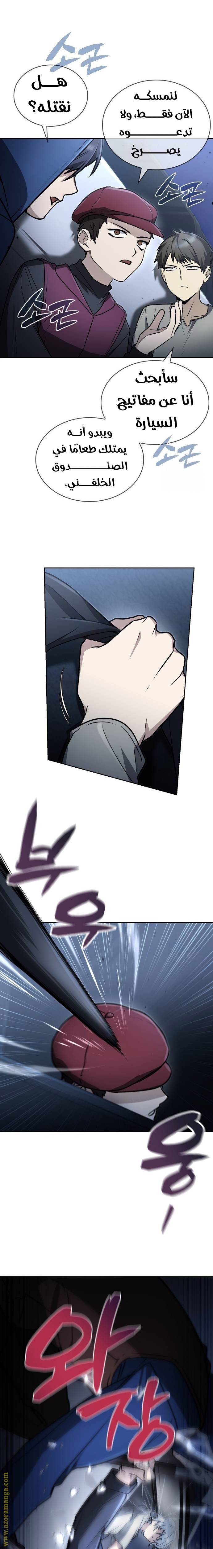 الصفحة 17