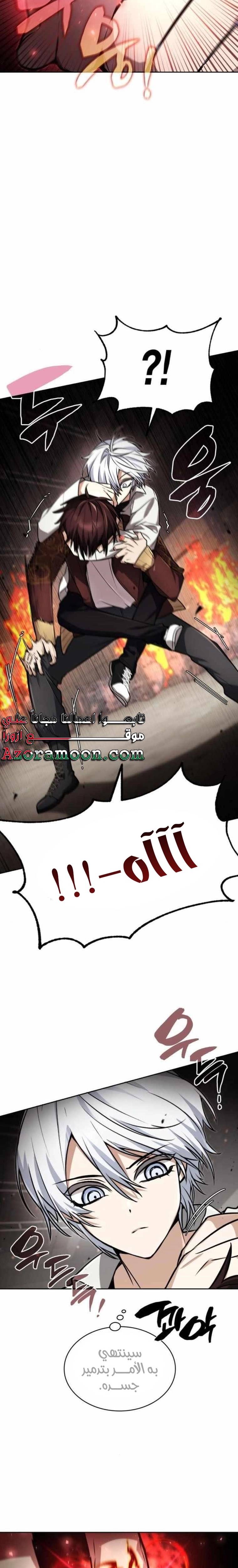الصفحة 17