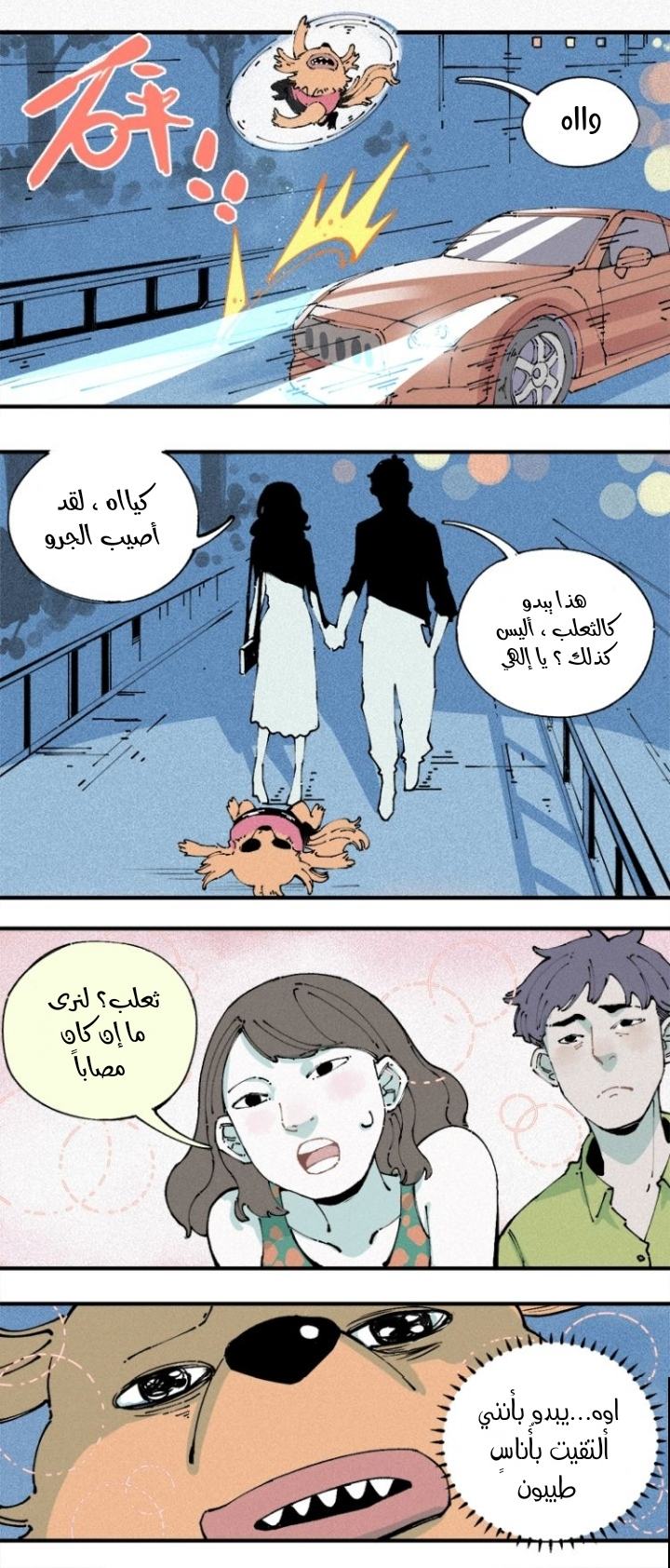 الصفحة 11