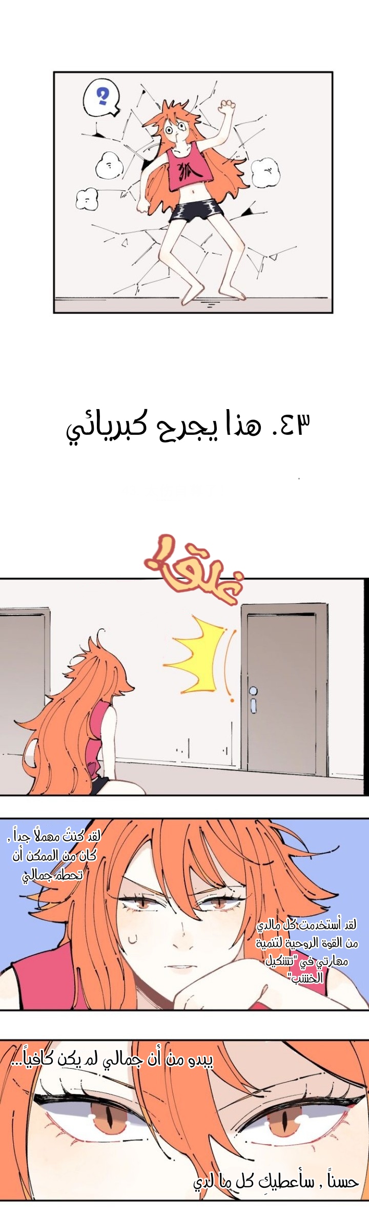 الصفحة 11