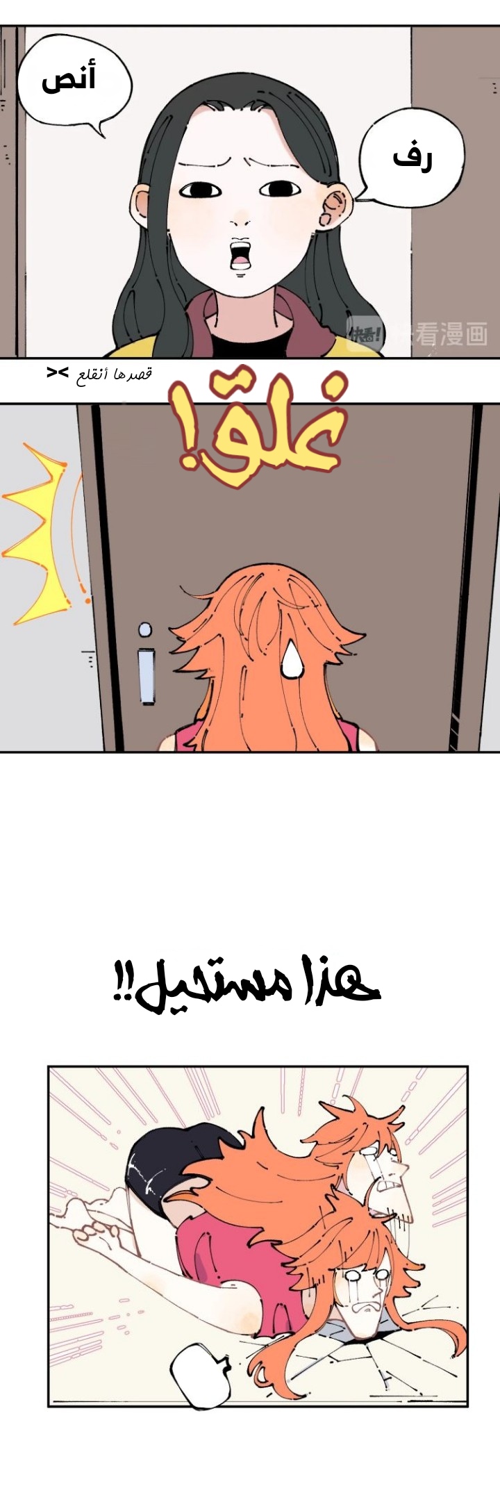 الصفحة 13