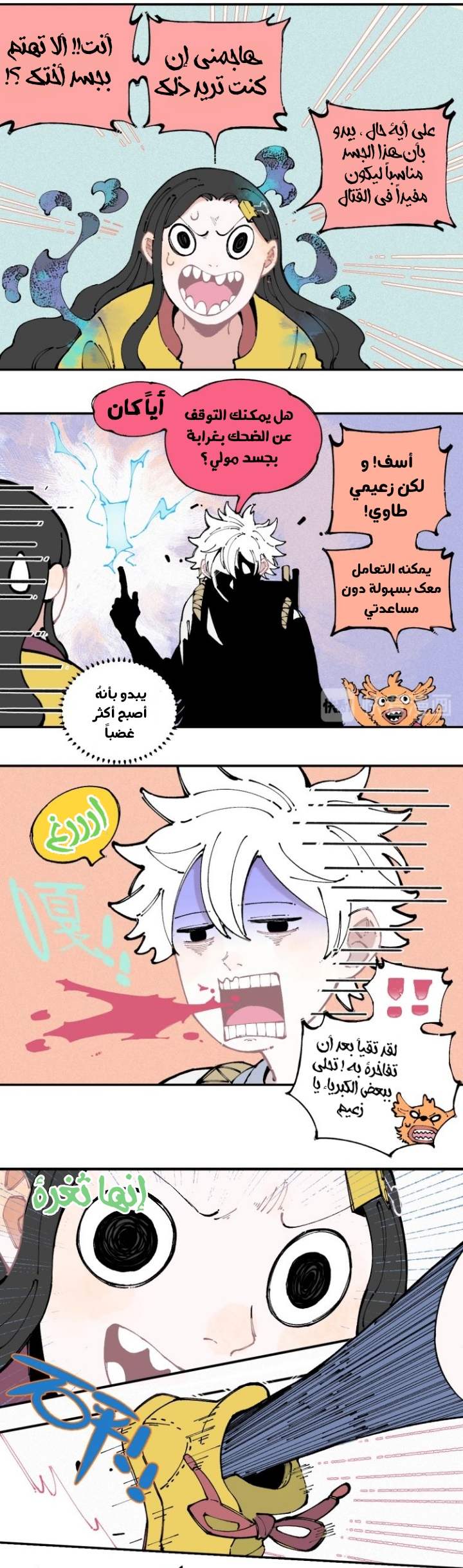 الصفحة 11