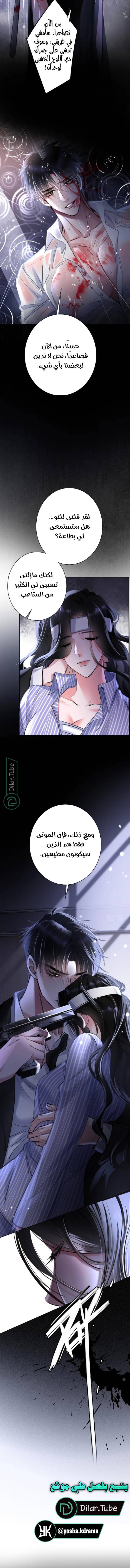 الصفحة 7