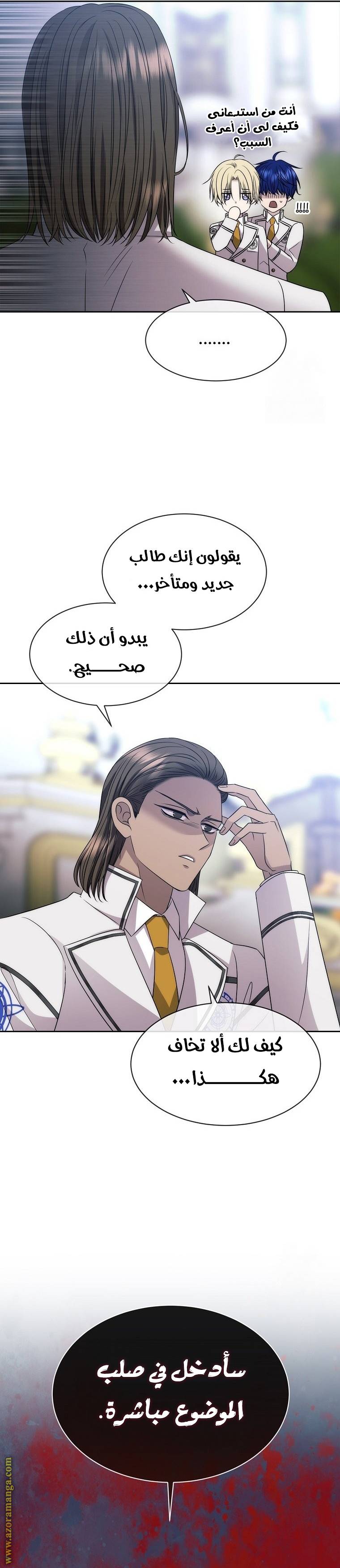 الصفحة 19