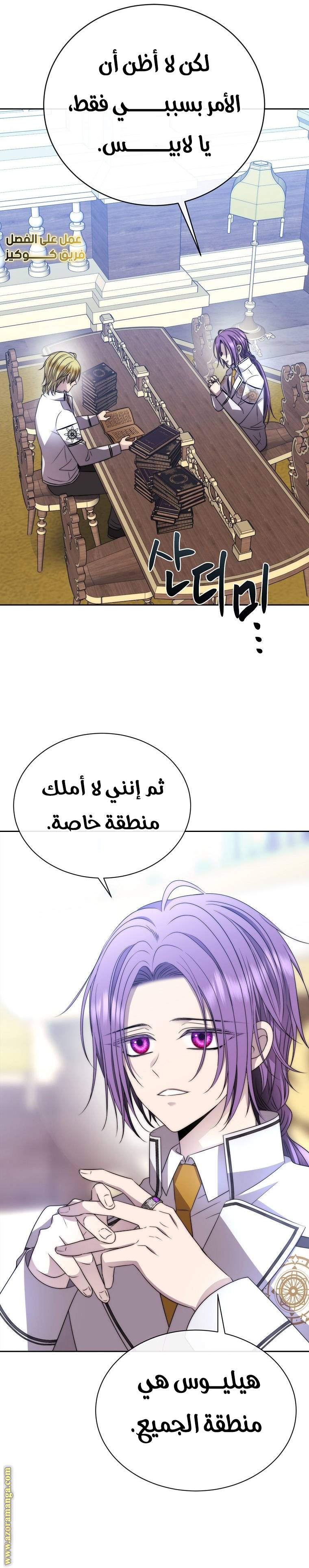 الصفحة 17