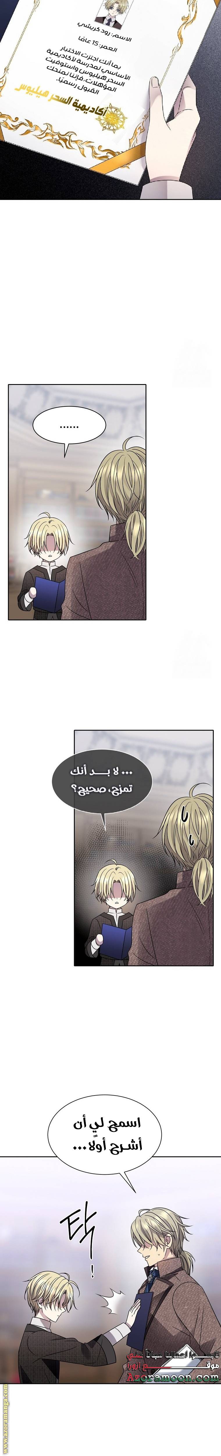 الصفحة 13