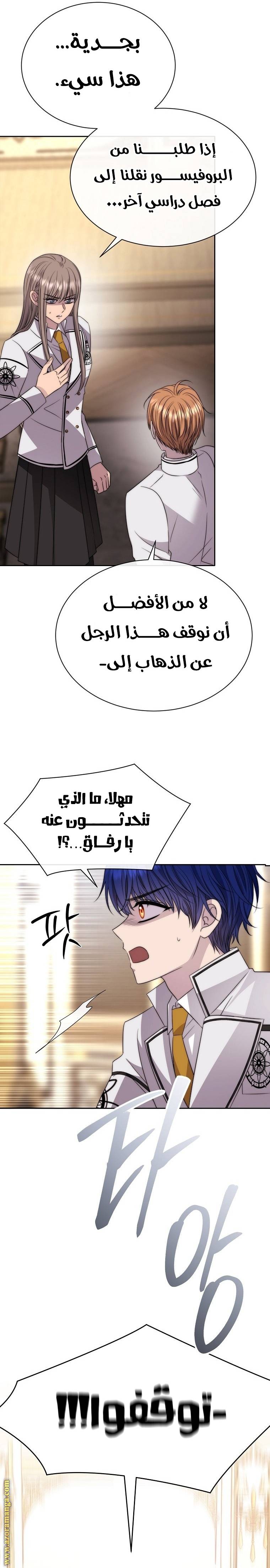 الصفحة 13